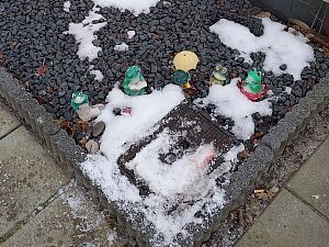 42777