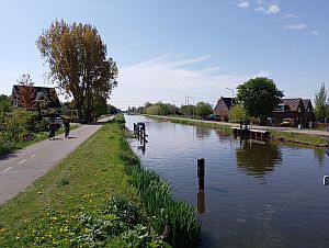 43432.jpg